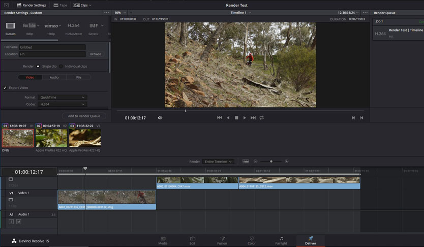 davinci resolve color grading mountain landscape